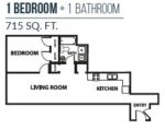1 Bedroom 1 Bath 715 Square Feet